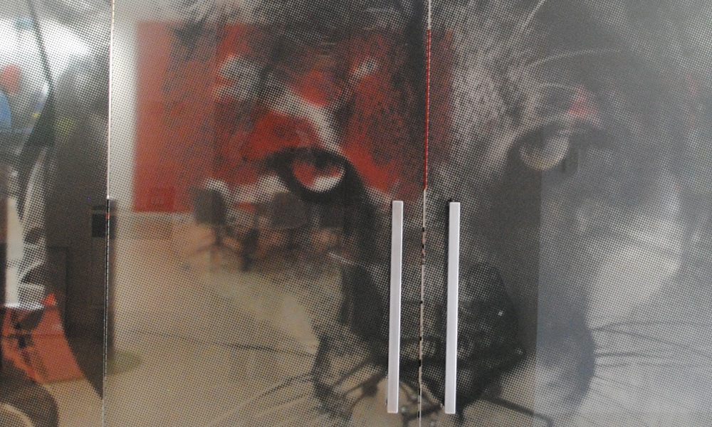 [ Puma Head Office Showroom ]